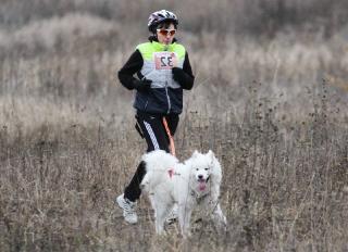 Canicross Canicross avec un chien et son maître