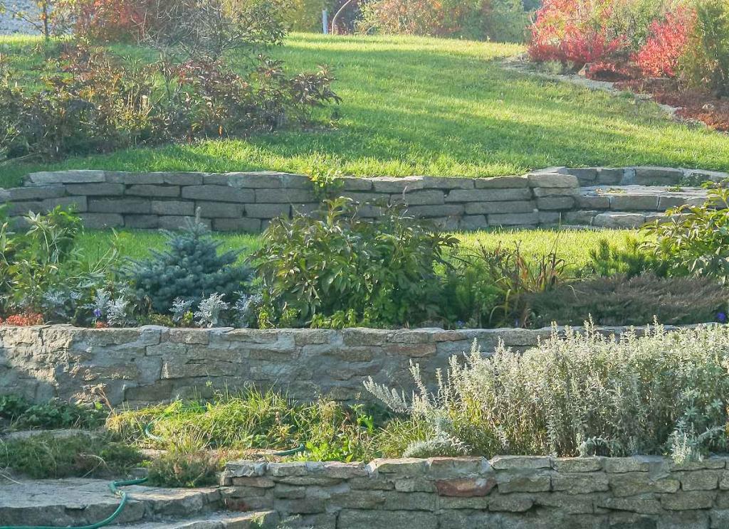 jardin en pente conseils