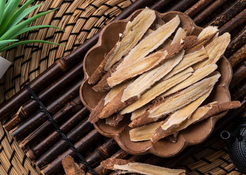 Astragale-bianfaits-sante - Astragale : pour doper le système immunitaire