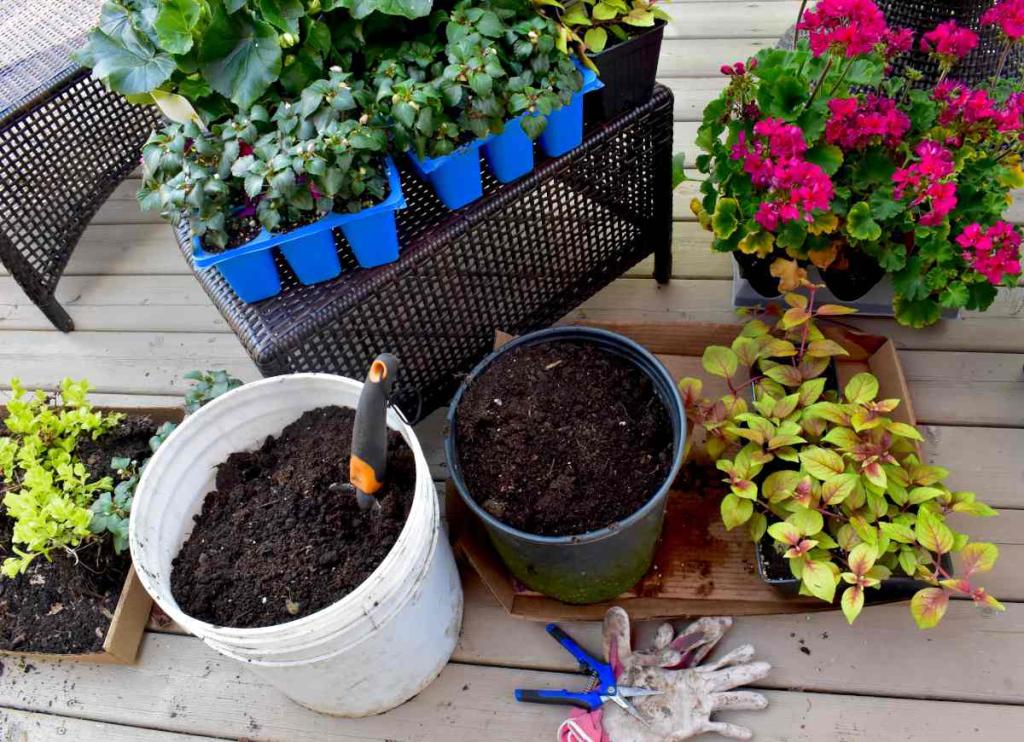 Terreau - Terreau : définition, utilisation et bénéfices pour les plantes