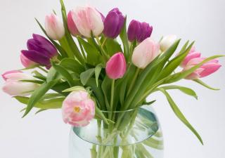 faire-durer-bouquet-tulipe-en-vase Faire durer un bouquet de tulipe en vase