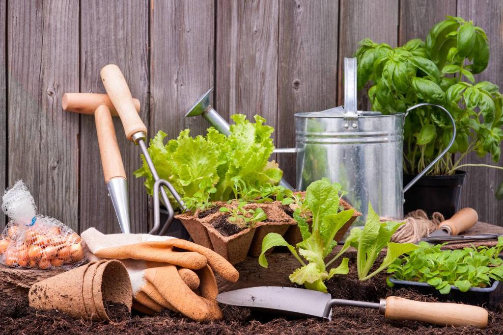 septembre-octobre-novembre-decembre-jardinage - Septembre à décembre, calendrier du jardinier