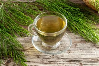 tisane-prele tisane prele