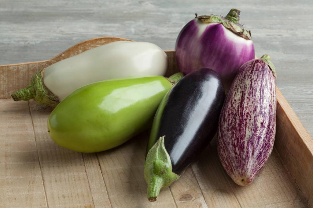 aubergine-varietes