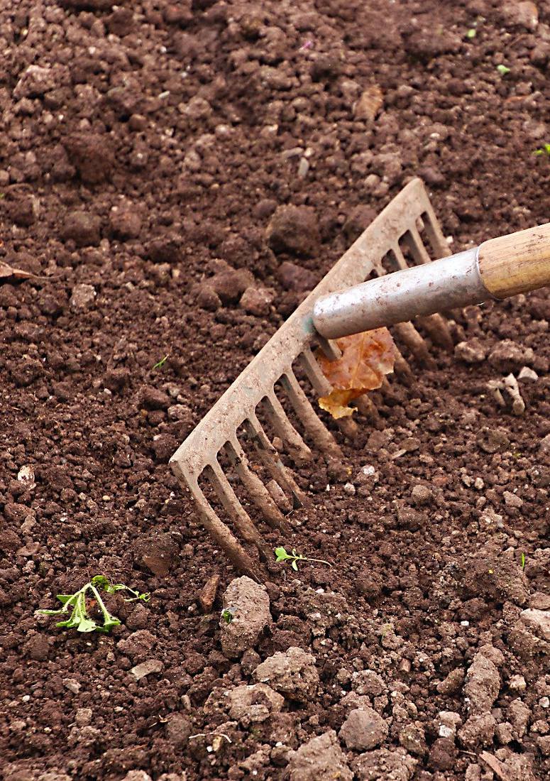 Préparer la terre du potager en hiver