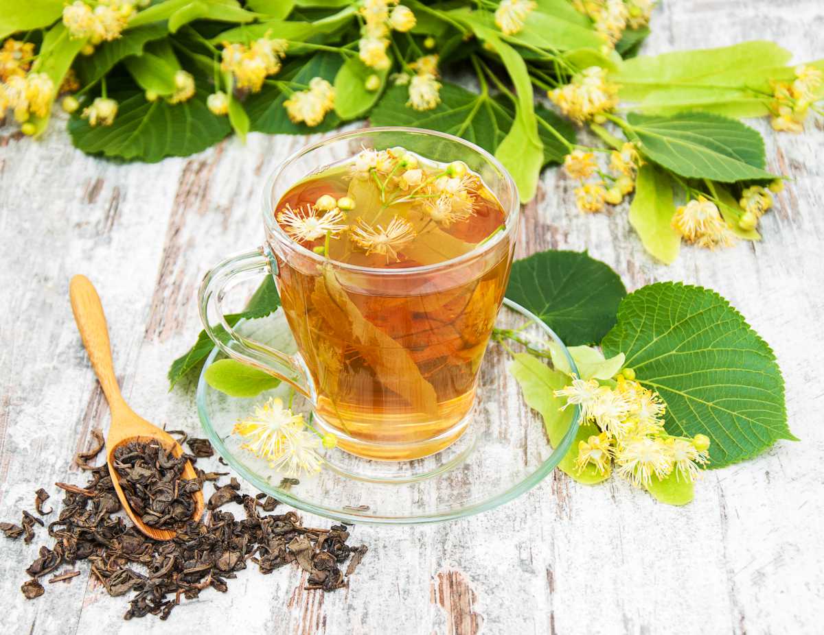 Tilleul-bienfaits Infusion de tilleul et miel
