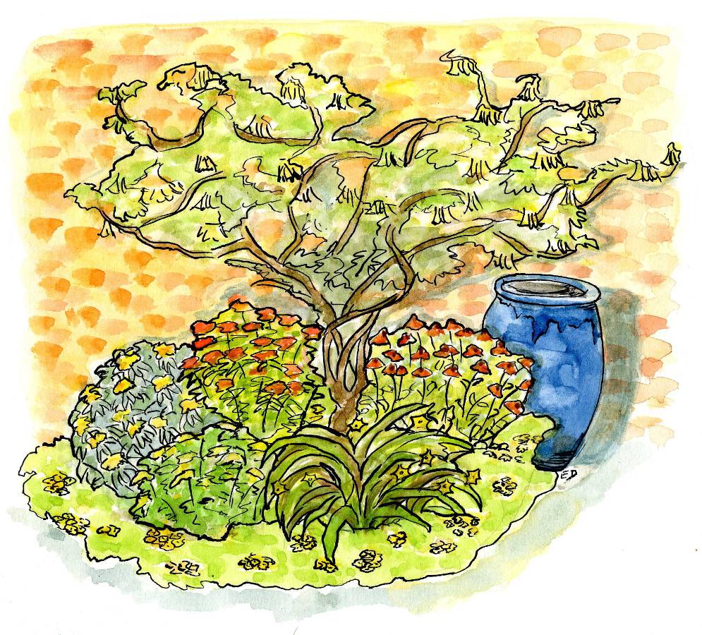 dessin-jardin-jaune dessin jardin jaune