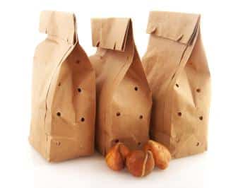 plantation-conservation-bulbes-achetes-sur-internet plantation conservation bulbes achetés sur internet