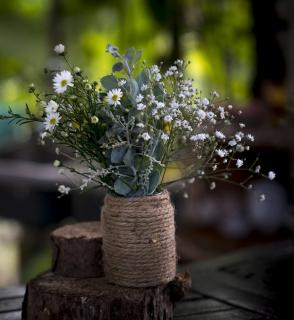 bonny-fleur bonny-fleur
