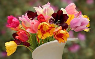 meilleur-endroit-pour-un-bouquet-de-tulipes meilleur endroit pour un bouquet de tulipes