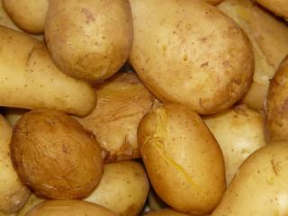 pomme-de-terre-Monalisa-en-cuisine pomme de terre Monalisa en cuisine