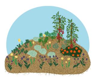 Butte-de-permaculture-principe Butte de permaculture principe