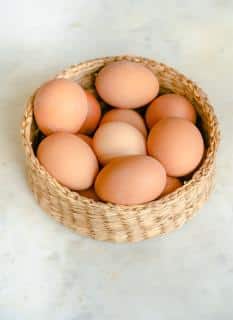 comment les oeufs se forment-ils&nbsp;?