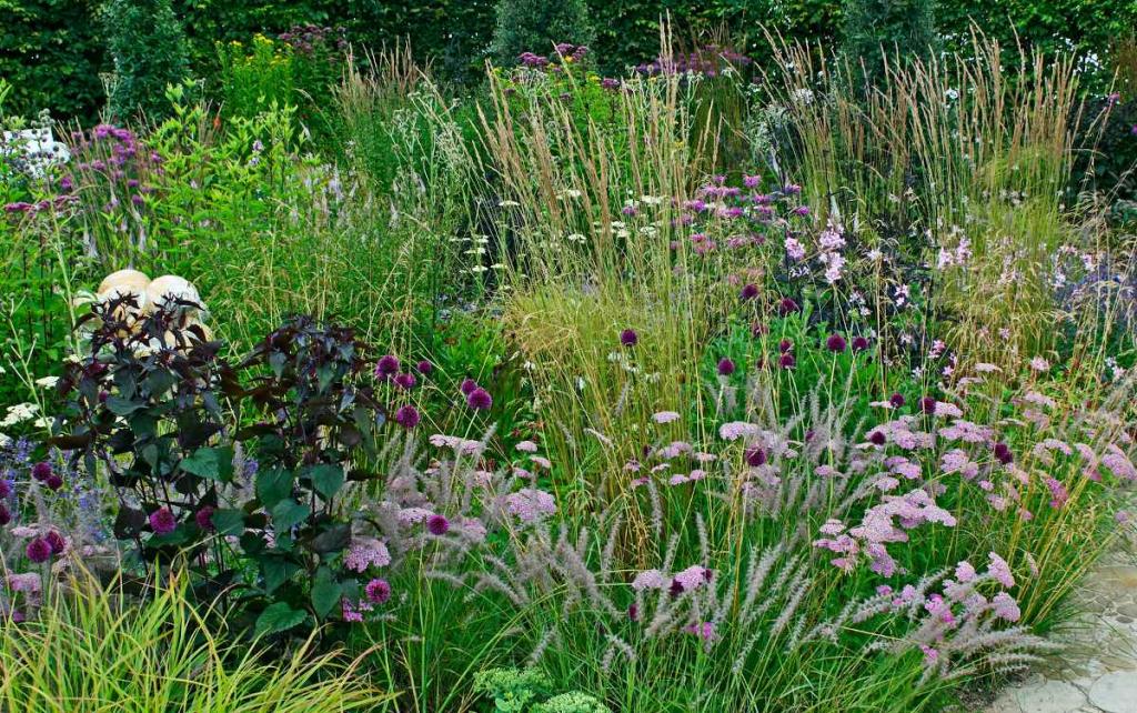 association-graminee-plante-au-jardin