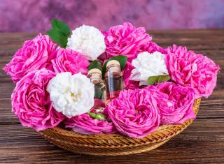 huile-essentielle-rose-de-damas huile essentielle rose de damas