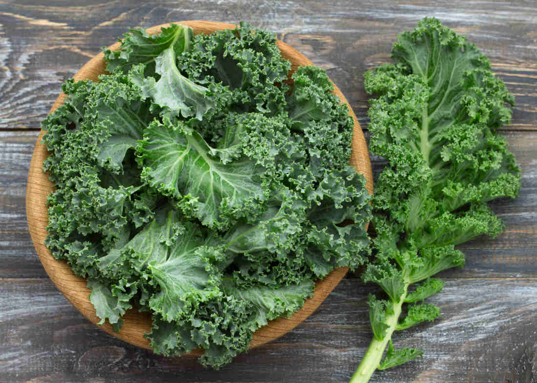 chou-kale-recolte-utilisation Récolte du chou kale et idées d’utilisation en cuisine