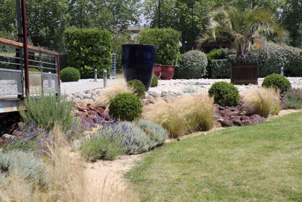 plantes-pour-jardin-sec-resistant-secheresse