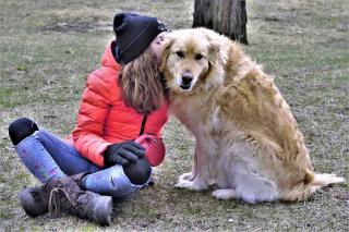 Le-golden-retriever-et-les-enfants Le golden retriever et les enfants