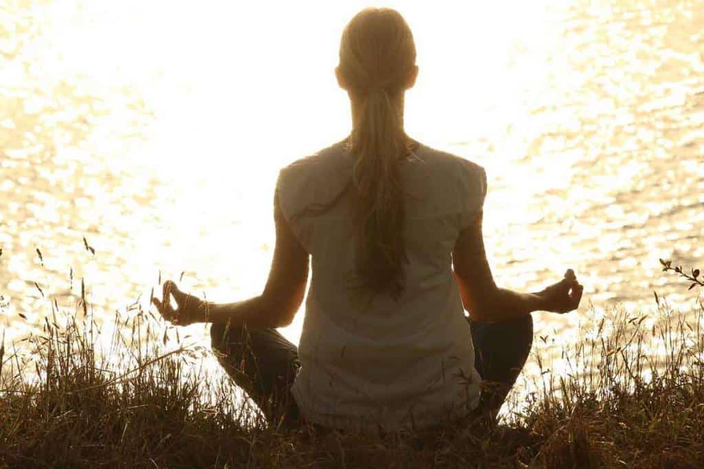 Plantes-et-meditation - Adepte de la méditation, voici 5 plantes qui vont vous aider à vous relaxer