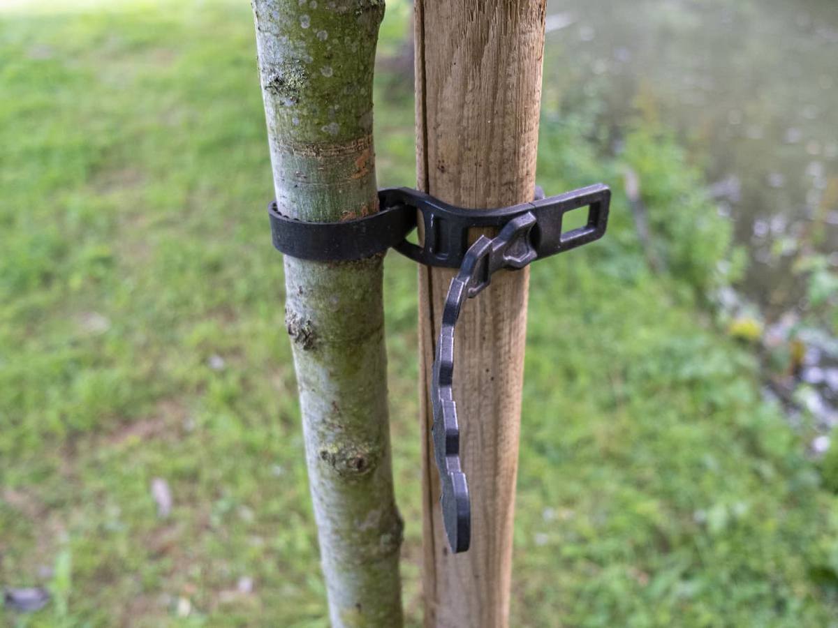 Technique du tuteur unique pour arbre