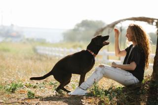 education-positive-chien-le-principe L'éducation positive chez le chien