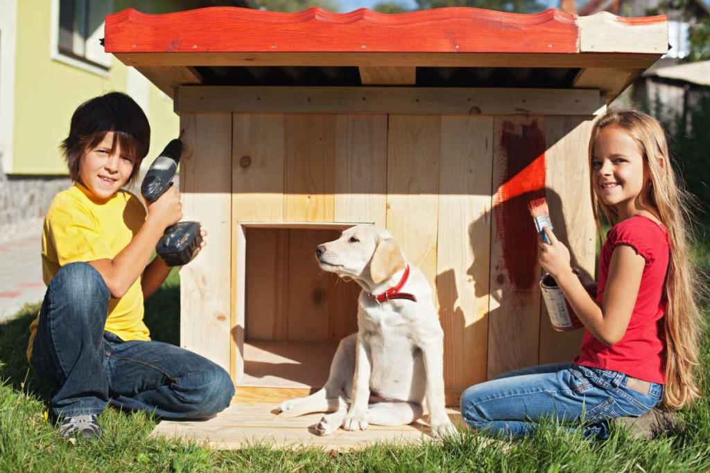 faire-dormir-chien-dehors-exterieur