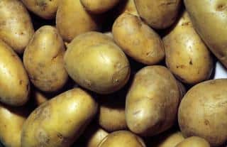 Pommes-de-terre-CHARLOTTE Pommes de terre CHARLOTTE