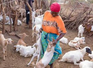 WWOOFing-afrique WWOOFing afrique
