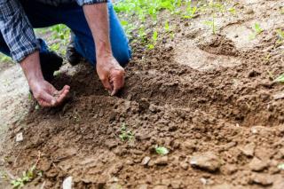 WWOOFing-logement-ferme WWOOFing logement ferme