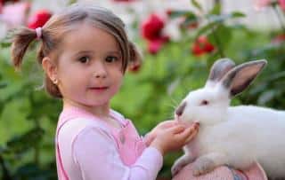 Enfant-et-lapin Enfant et lapin