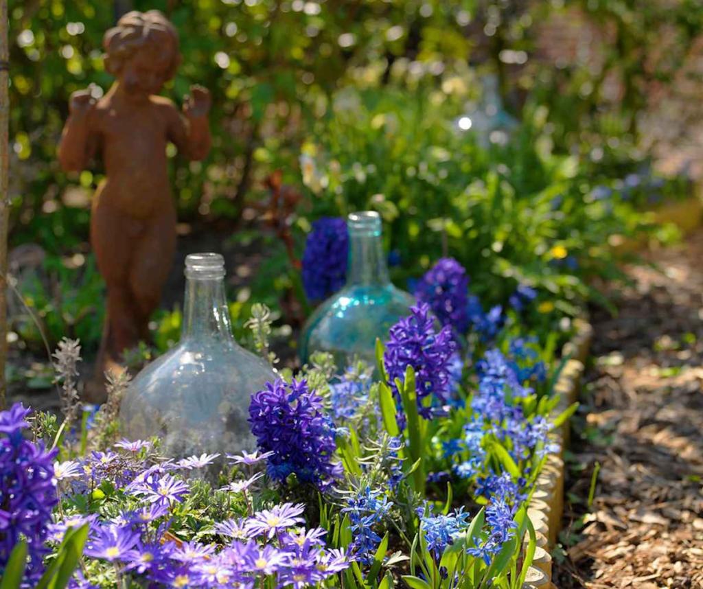 plante-fleur-bleu