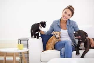 staffie-conseils-cohabitation-autres-animaux staffie et cohabitation avec les autres animaux conseils