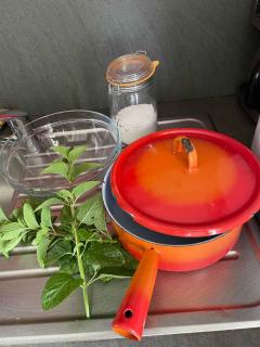 recette-sirop-de-menthe-maison recette sirop de menthe maison