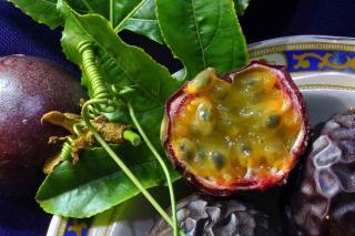 Fruits-de-la-passion Fruits de la passion