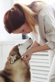 chien-eternuements-solutions-traitements chien éternuements solutions