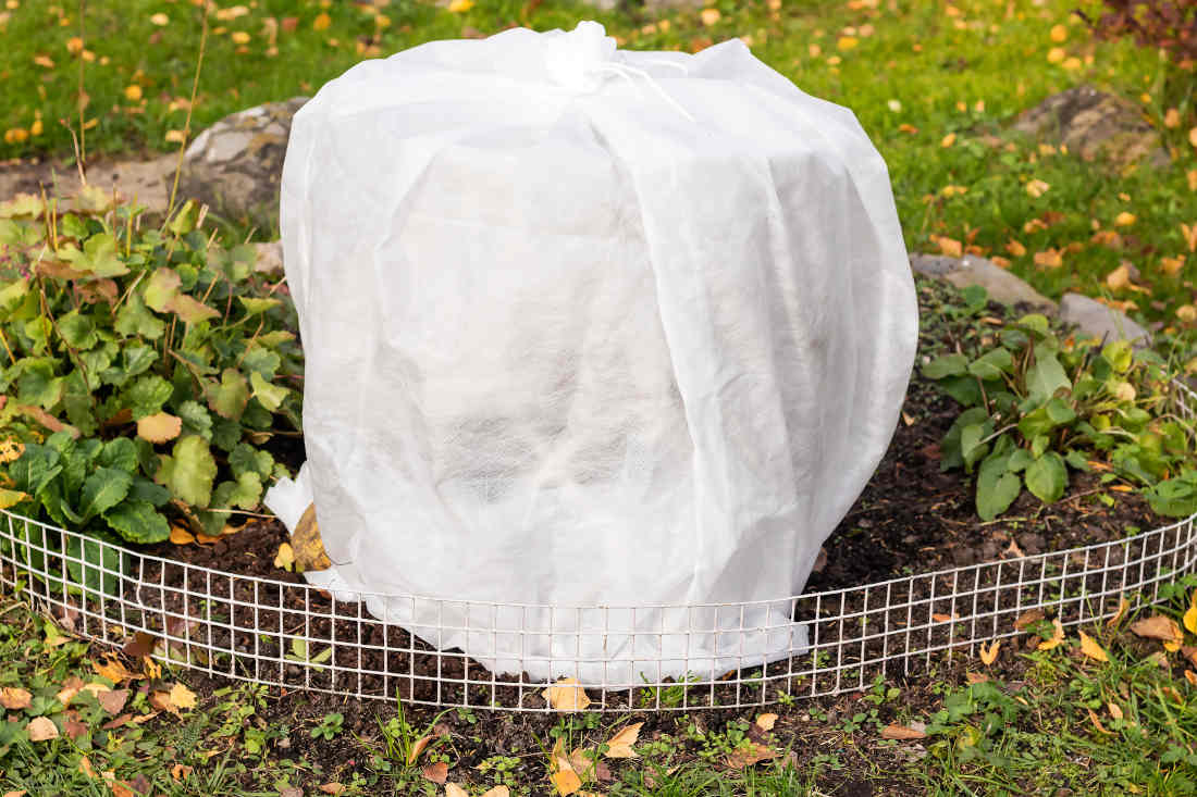 quand-installer-voile-dhivernage-periode quand installer voile d'hivernage periode