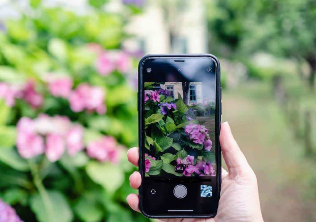 appli identification plante