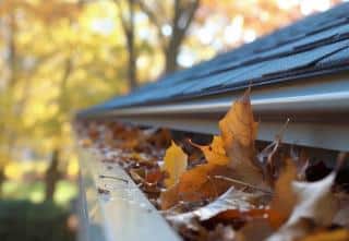 gouttiere-bouchee-par-feuilles-voisin gouttiere bouchee par feuilles voisin