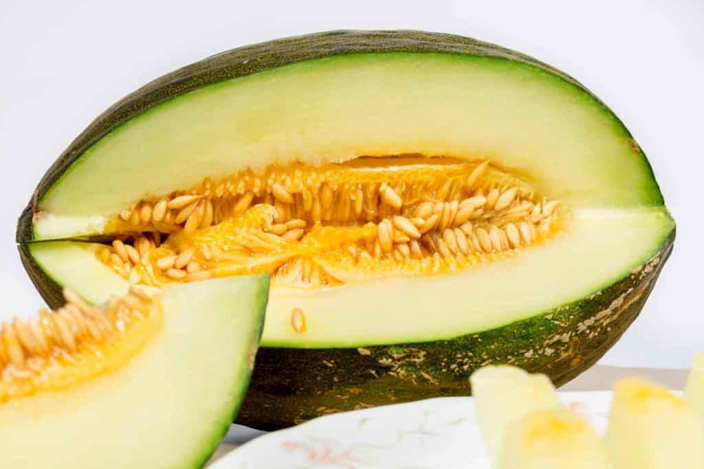 Melon-dhiver-Vert-Olive-de-Noel