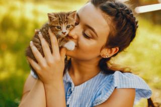 chaton-non-sevre-soins-conseils chaton non sevré soins conseils