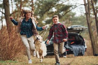interdiction-chien-foret-sans-laisse-loi interdiction chien foret sans laisse loi