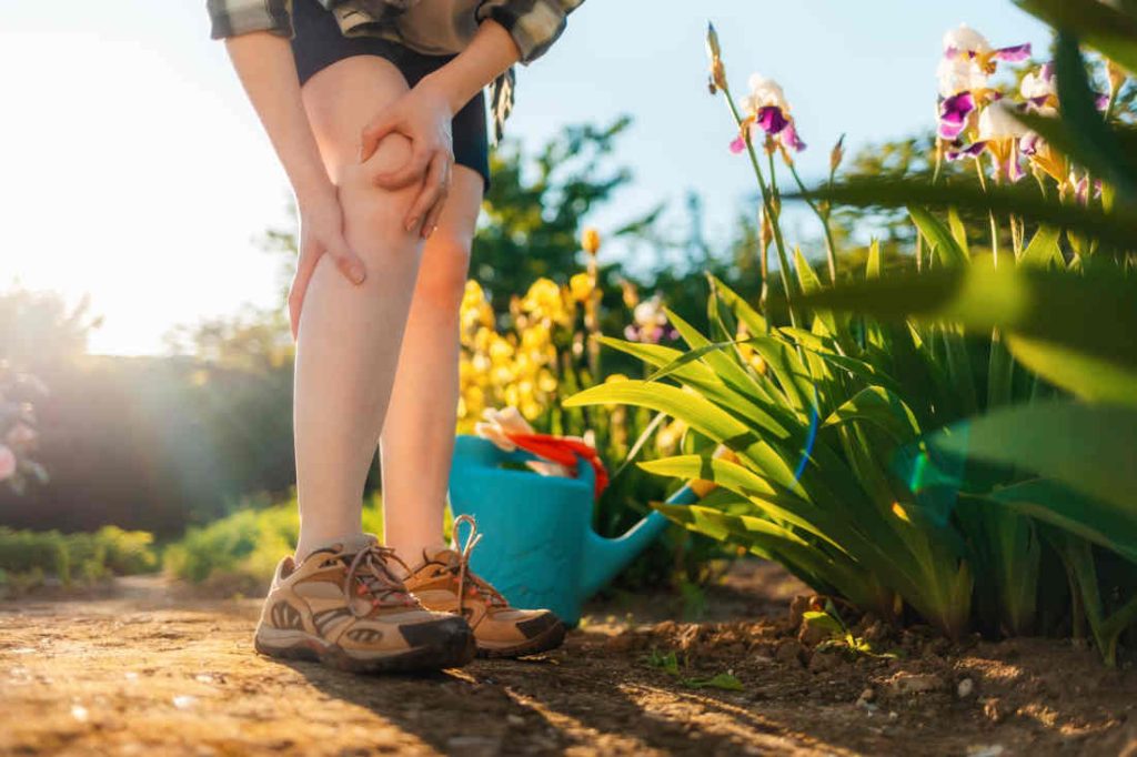 solution anti moustique jardin