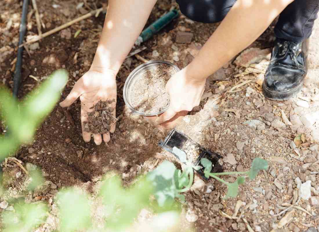 Pourquoi utiliser la poudre d’os au jardin