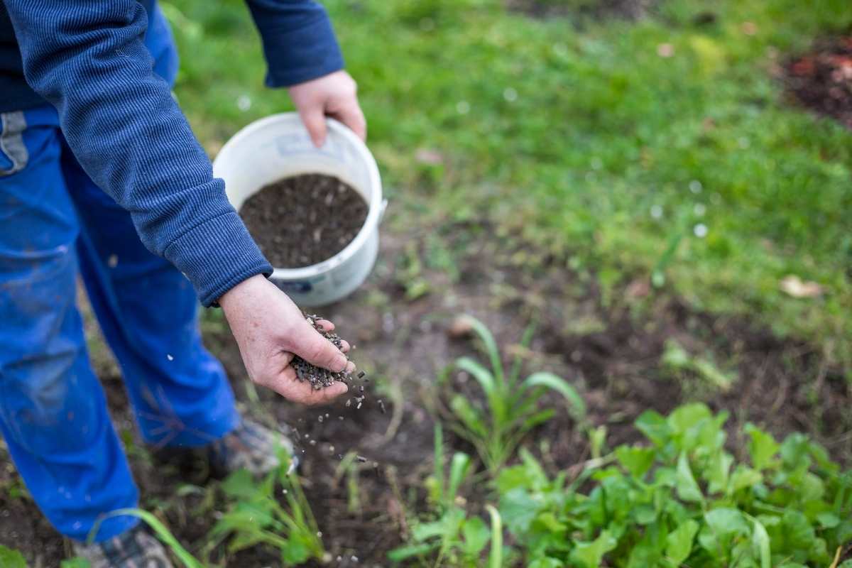 Limites et critiques de la poudre d’os