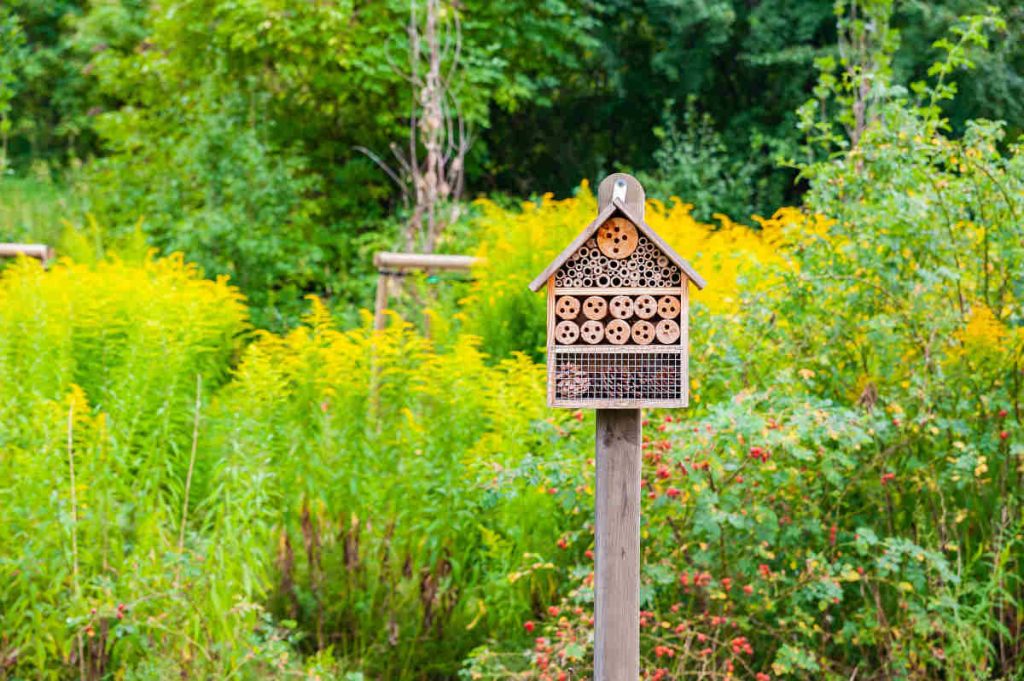 astuce pour un jardin potager naturel bio ecologique
