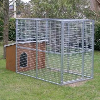 chenil chien critere de choix chenil chien critere de choix