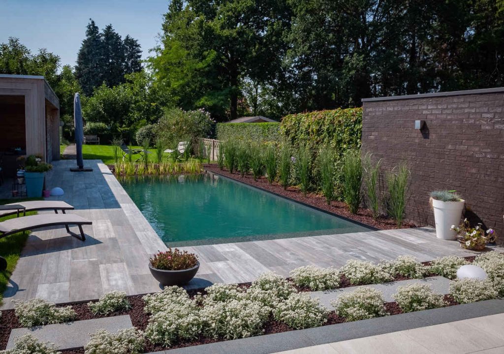 idee amenagement piscine plantes