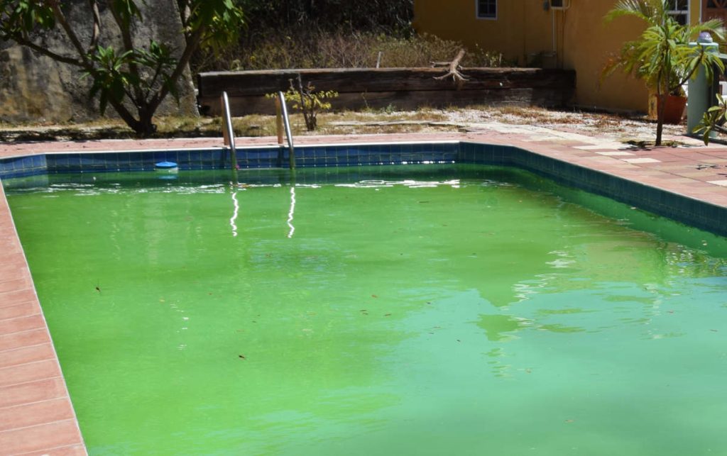 piscine eau verte danger baignade