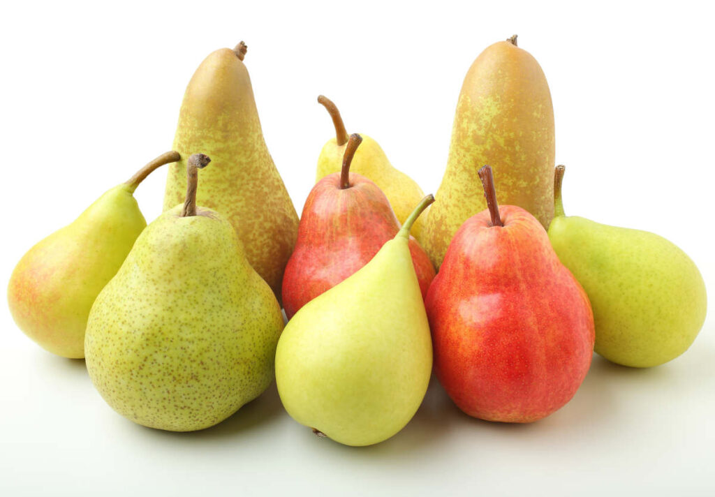 poire variétés poirier