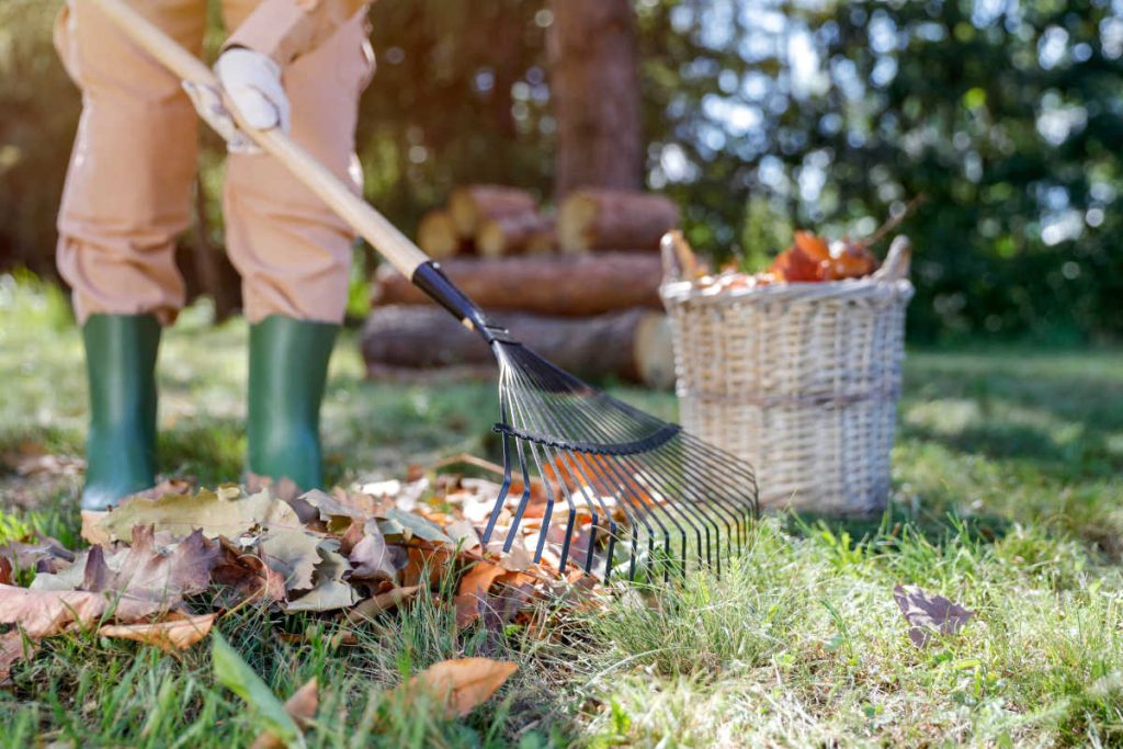 preparer jardin pour hiver